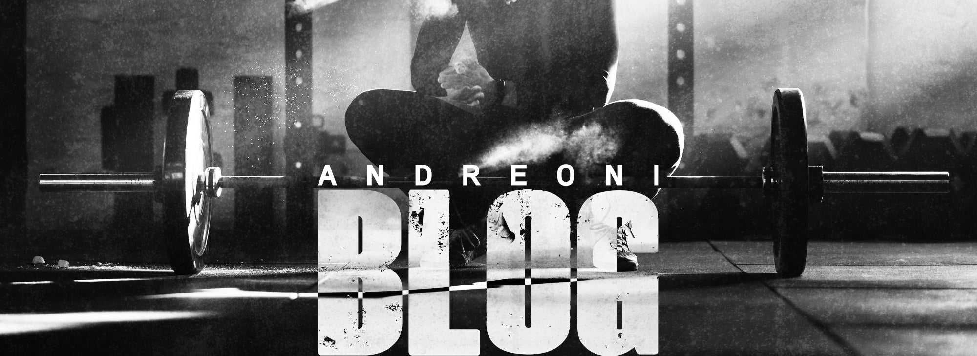 Andreoni Fitness Blog header
