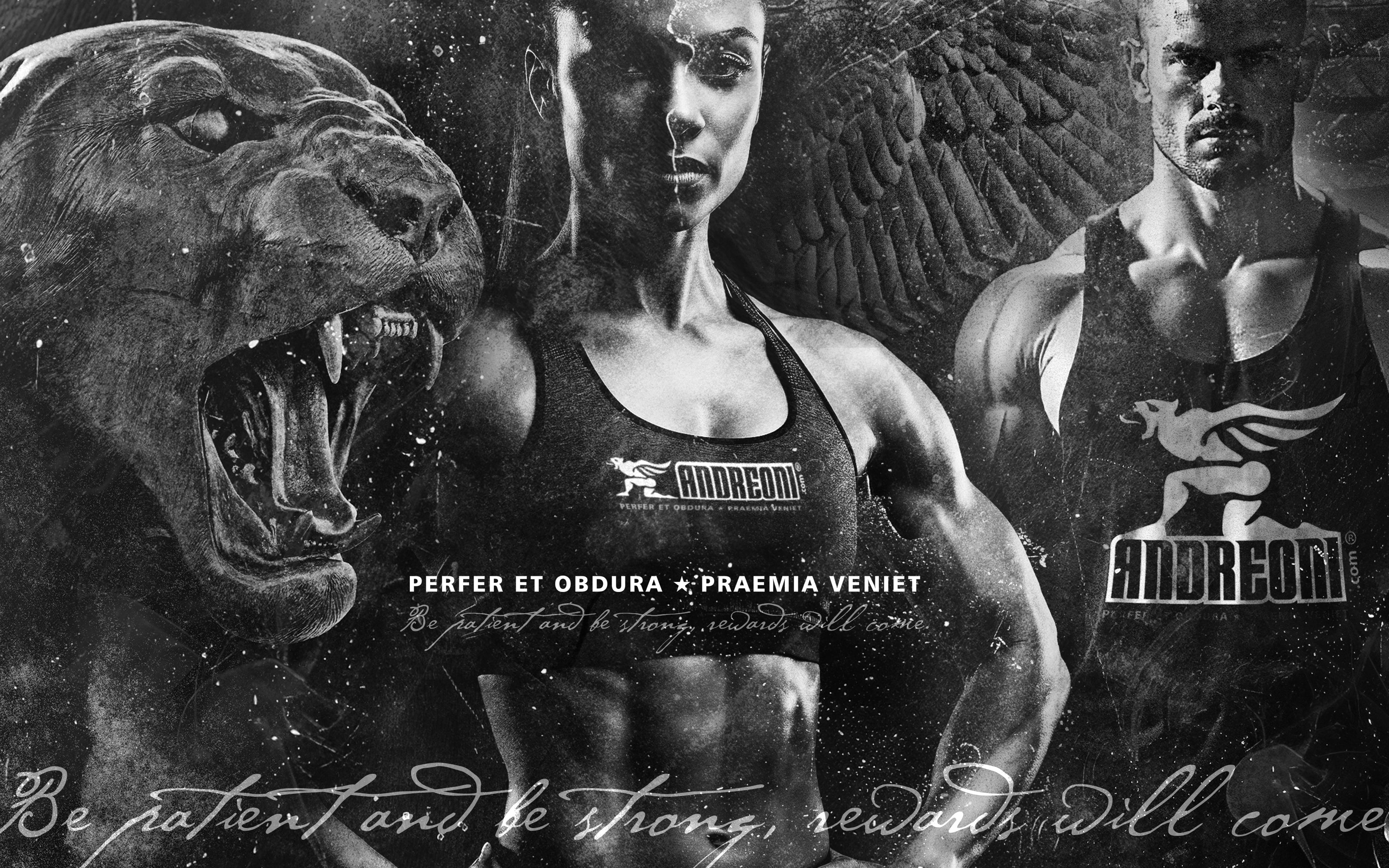 Andreoni Fitness main header