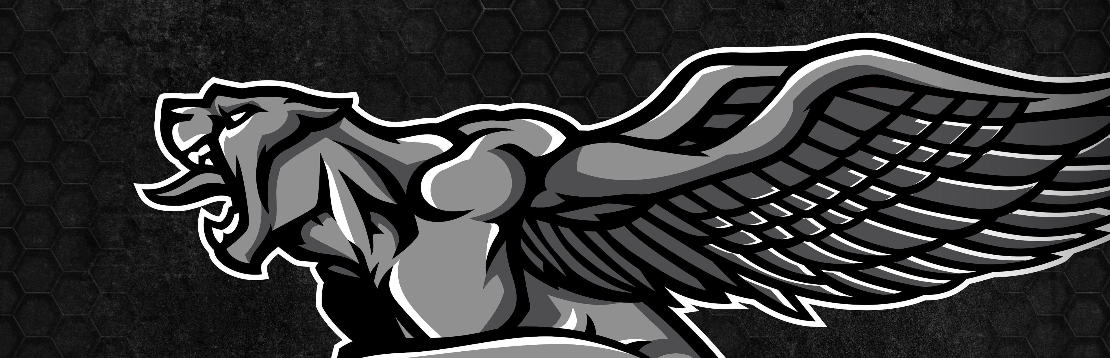 Andreoni fitness lion sport logo