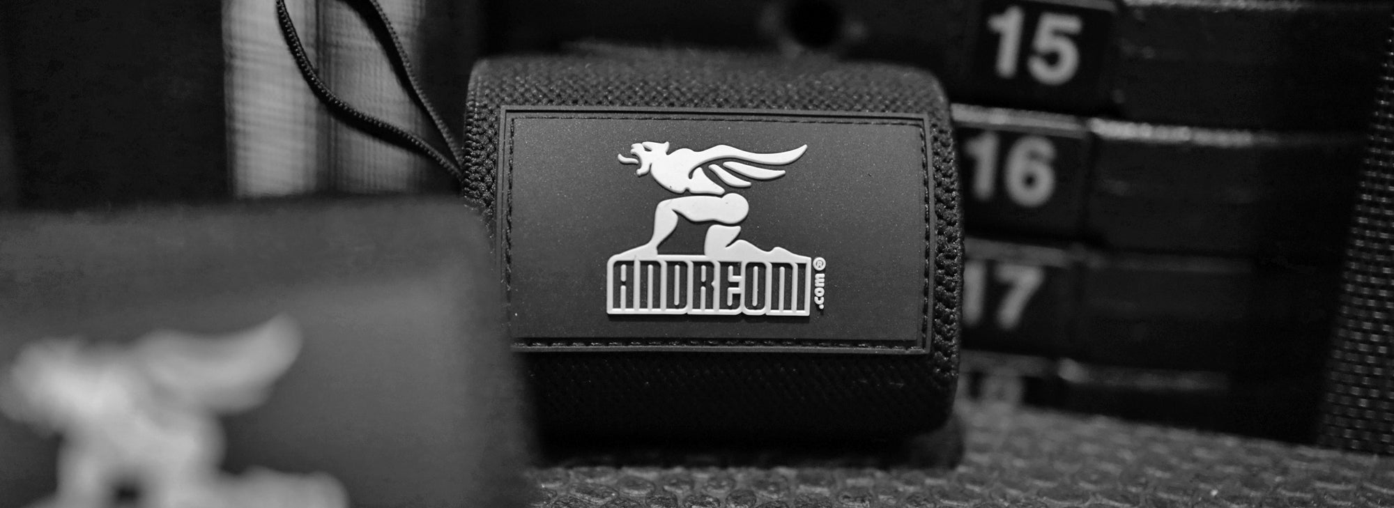 Andreoni Fitness Wrist wraps high resolution photo