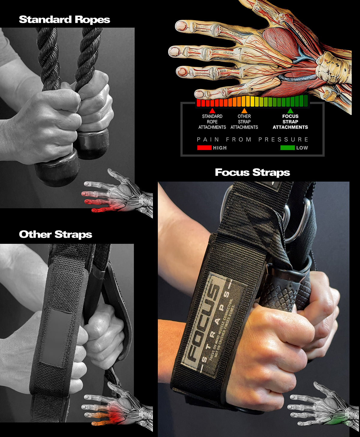 Collage of focus straps cable attachment handles, anatomical illustrations, and text on a black background