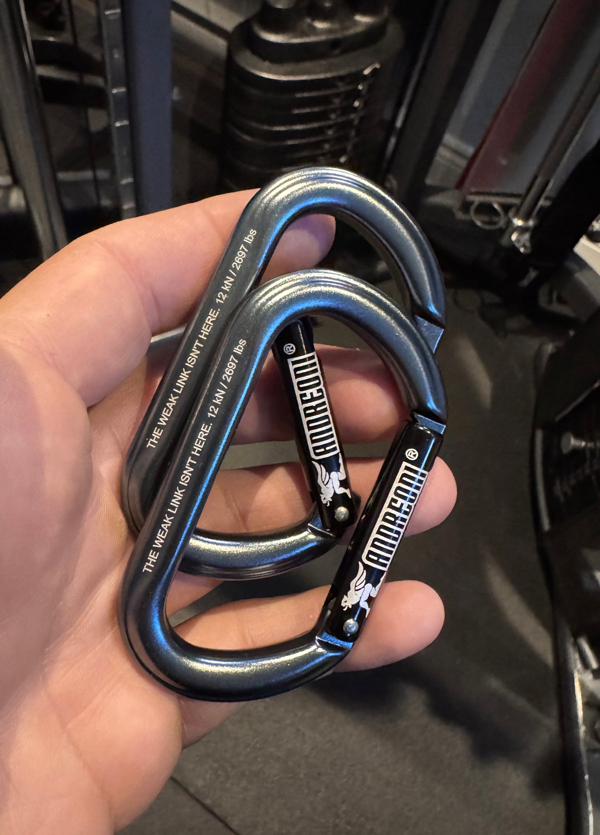 Andreoni aluminum gym carabiner in one hand next to a cable machine