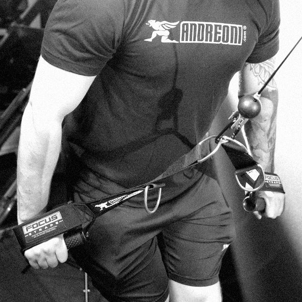 Tricep pushdown exercise using Focus Straps